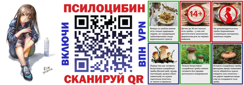 omg Котово Галлюциногенные грибы Psilocybine cubensis