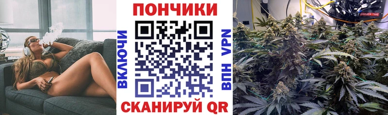 наркотики  Котово  Бошки марихуана гибрид 